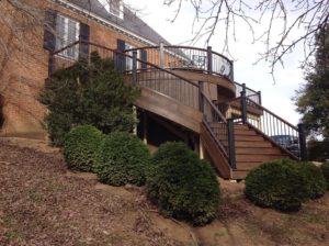 Trex Deck by Felice Decks