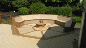 Trex Deck by Felice Decks