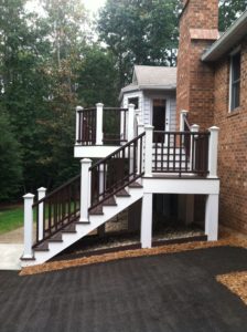 Trex Deck by Felice Decks