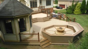 Trex Deck by Felice Decks