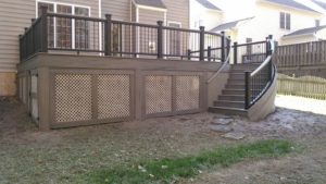 Trex Deck by Felice Decks